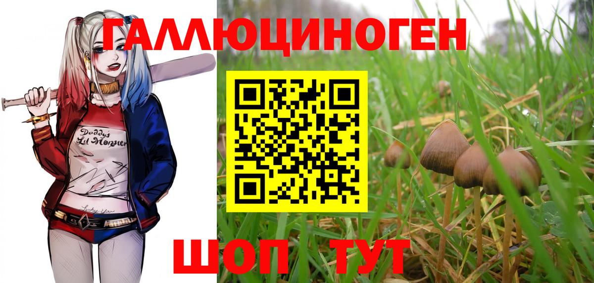 Галлюциногенные грибы ЛСД Ишим