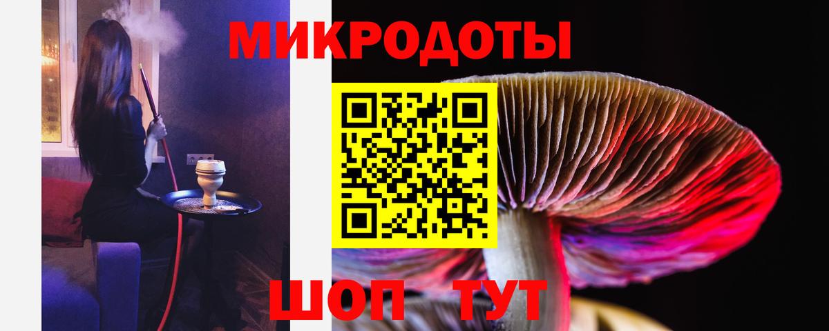 Ишим  Псилоцибиновые грибы Cubensis  Вход с VPN 